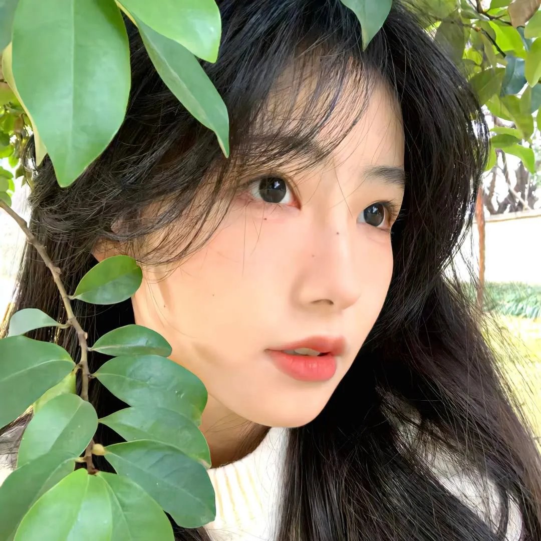 终极追缉令